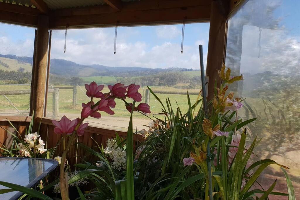 Won Wron Handsome Hills Dairy Retreat מראה חיצוני תמונה